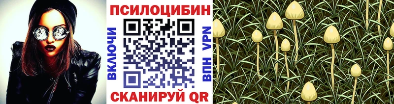 Псилоцибиновые грибы мицелий  Инсар 